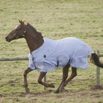 Shires Maxi-Flow Fly Rug