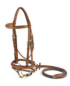 Vespucci Fancy Raised Jump Bridle with Flash