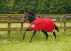 Amigo Turnout Sheet Lite 600D