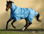 Amigo Medium Weight 1200D Turnout Blanket