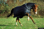 Amigo Turnout Sheet Lite 1200D