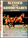 Blessed are the Broodmares - Lose