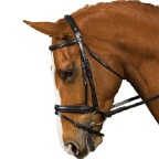 Collegiate Comfort Crown Crank Flash Bridle