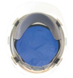 Evaporative Cooling Crown Coolers