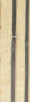 Courbette Weymouth/Pelham Reins