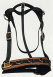 Crump Nylon Lungeing Cavesson