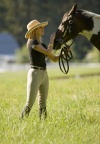 Horse & More Gag Bit