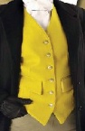 Ovation Men's Canary Hunt Vest-25% off
