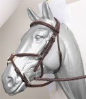 Prestige Raised Figure 8 Bridle