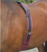 Shires Webbed Surcingle