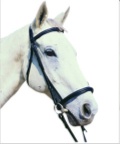 Treadstone Plain Raised Padded Bridle
