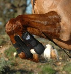 Tri-Zone Tendon Boots
