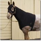Turtleneck Hood and Shoulder Guard