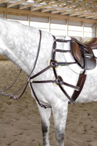 VTO Saddlery 11-Way Breastplate