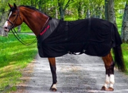 Back on Track Royal Mesh Deluxe Sheet