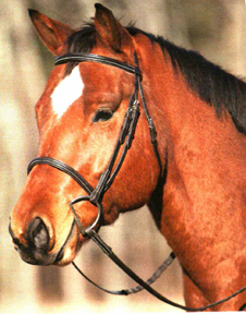 Bridleway Snaffle Bridles