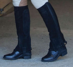 Bridleway Suede Adult Half Chaps