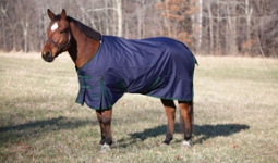 Bridleway Turnout Sheet