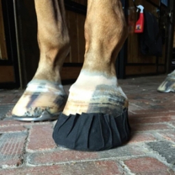 Equifit Pack N Stick Hooftape