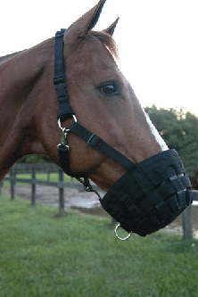 Adjustable Comfort Web Muzzle