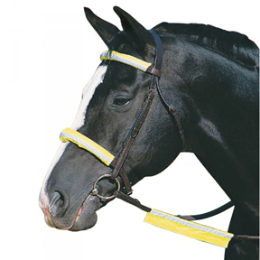 Roma Reflective Bridle Kit