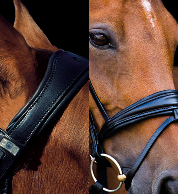 Stubben Switch Double Bridle Vto Saddlery