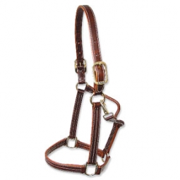 Walsh British Halter