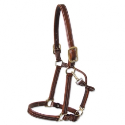 Walsh Kentucky Halter
